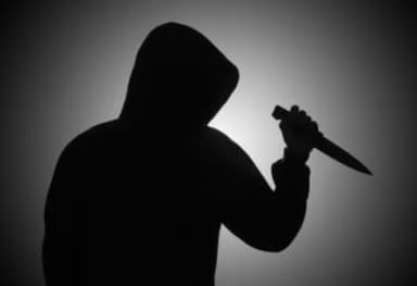 Russian murders in Goa case