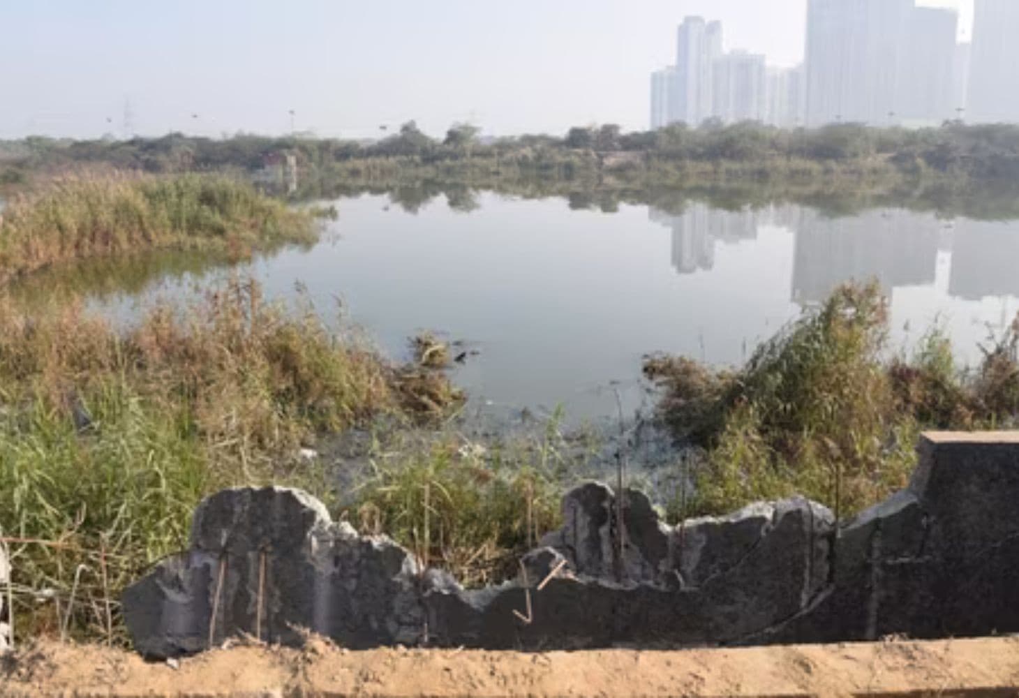 Noida Sector 150 accident case