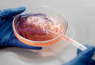 GBS outbreak in Neemuch MP