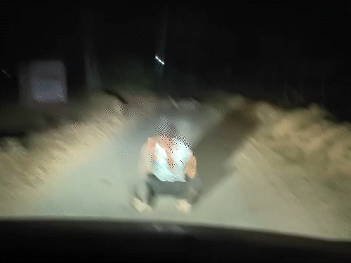 Banaskantha: Youth develops rabies 3 months after being bitten by a do Banaskantha: Youth develops rabies 3 months after being bitten by a do