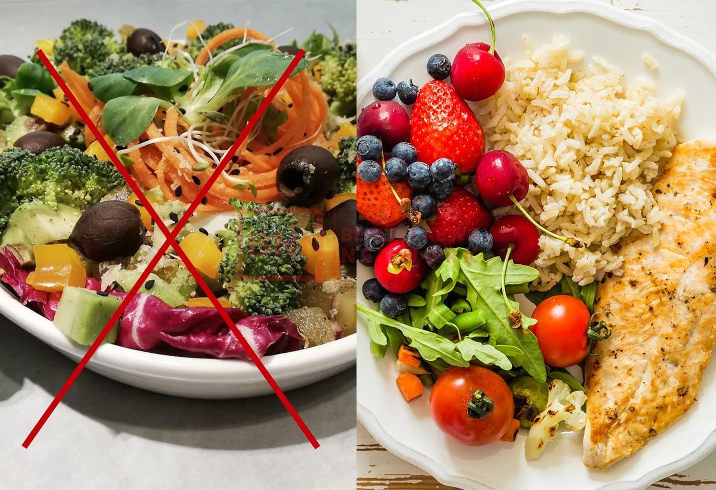 Does a vegan diet shorten life expectancy? Does a vegan diet shorten life expectancy?