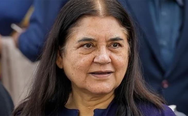 'Those who burst crackers are traitors': Maneka Gandhi 'Those who burst crackers are traitors': Maneka Gandhi