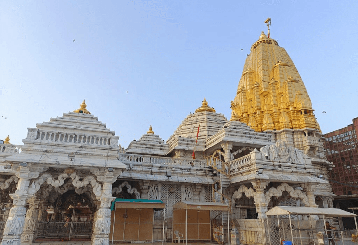અંબાજીમાં યોજાશે 51 શક્તિપીઠ પરિક્રમા મહોત્સવ અંબાજીમાં યોજાશે 51 શક્તિપીઠ પરિક્રમા મહોત્સવ